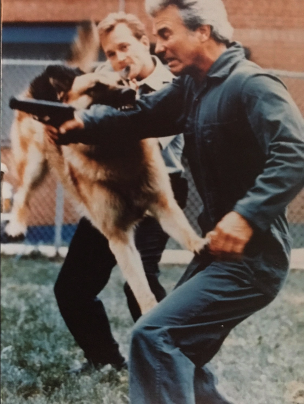 Bryan Renfro Picture Tulsa Dog Training
