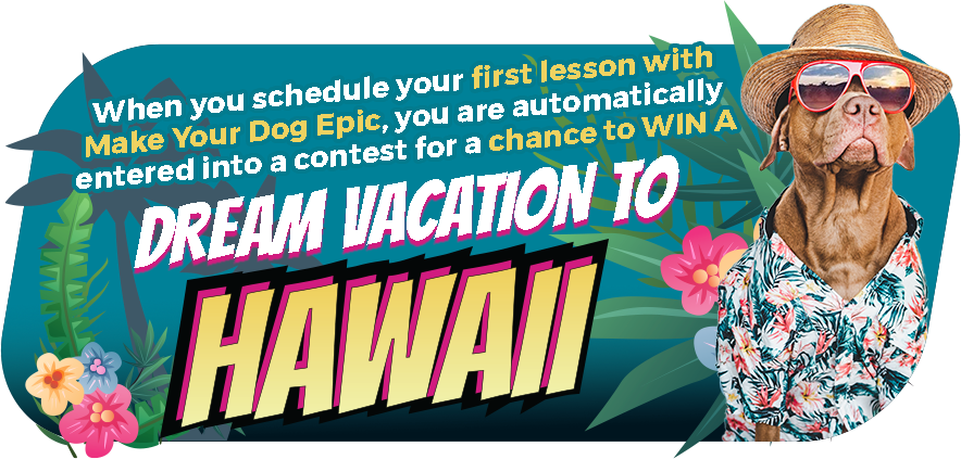Hawaii Vacation Ad