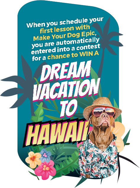Hawaii Vacation Ad Mobile
