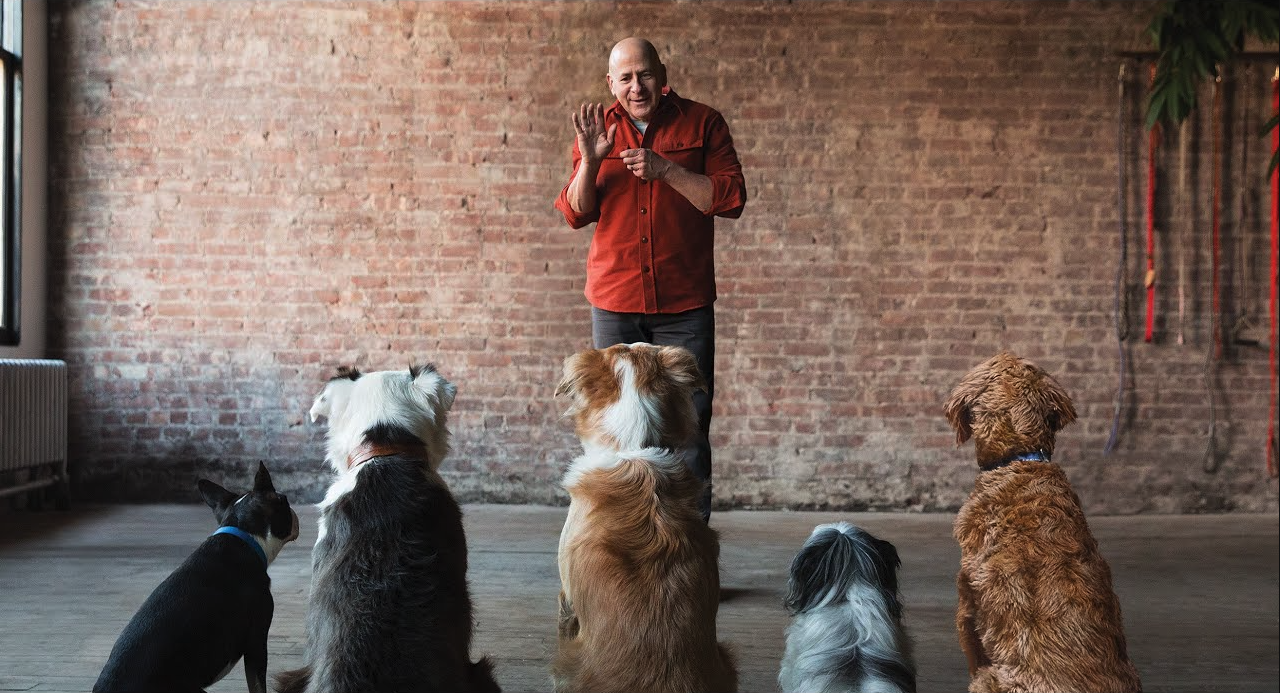 Joel Silverman Picture Tulsa Dog Training
