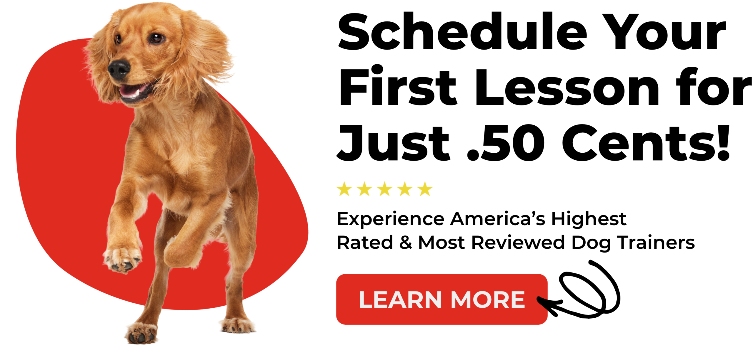 TulsaDogTraining TopLeft Image