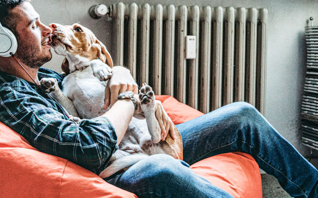 Ogden, Utah Dog Training Relax With Your Dog At Home