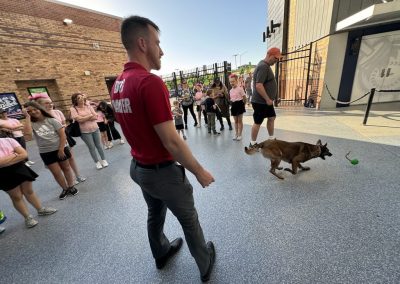 Tulsa Dog Training 301