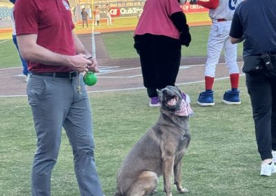 Tulsa Dog Training 333
