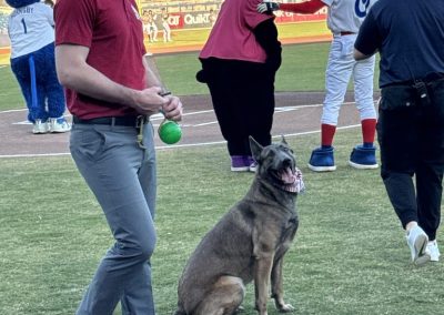 Tulsa Dog Training 334