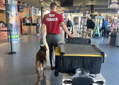 Tulsa Dog Training 352