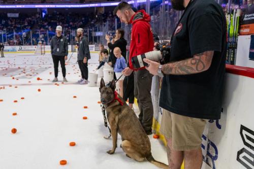 Tulsa Dog Training 292