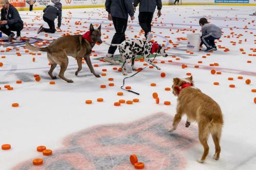 Tulsa Dog Training 294