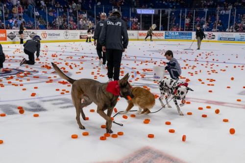 Tulsa Dog Training 295