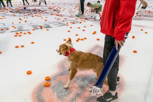 Tulsa Dog Training 297