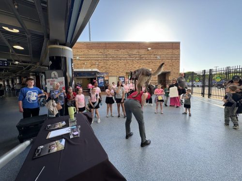 Tulsa Dog Training 297