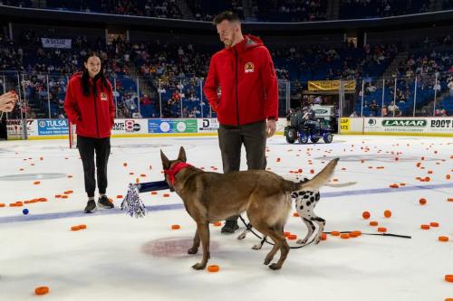 Tulsa Dog Training 298