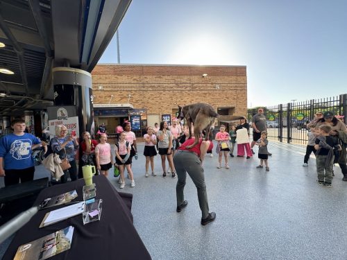 Tulsa Dog Training 298