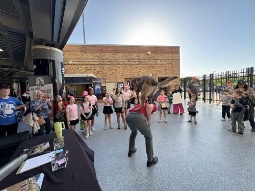 Tulsa Dog Training 299