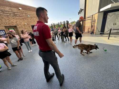 Tulsa Dog Training 301