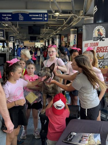 Tulsa Dog Training 302