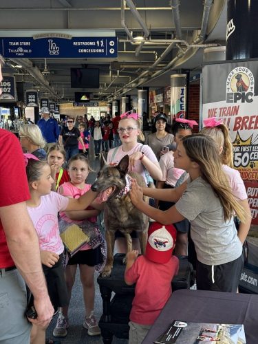 Tulsa Dog Training 304