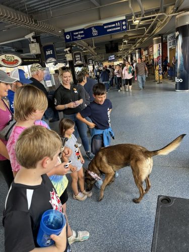 Tulsa Dog Training 310