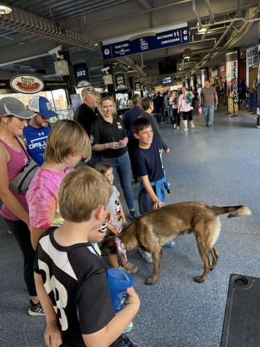 Tulsa Dog Training 311