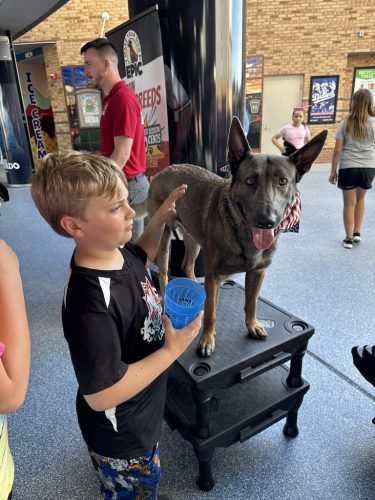 Tulsa Dog Training 312