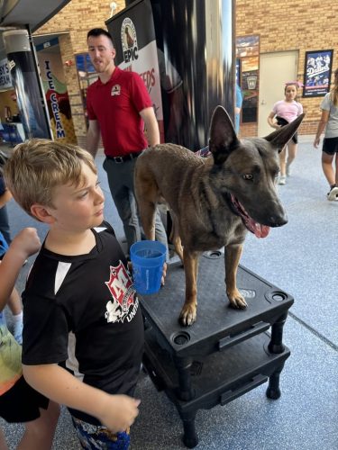 Tulsa Dog Training 313