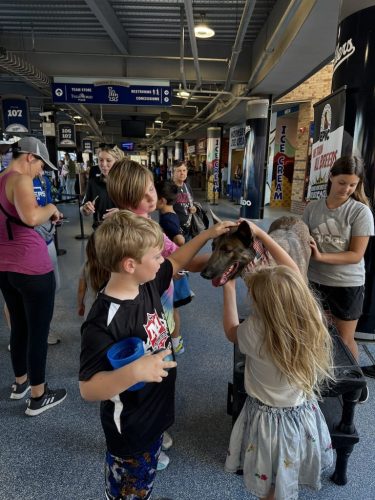 Tulsa Dog Training 314