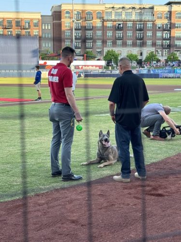 Tulsa Dog Training 326