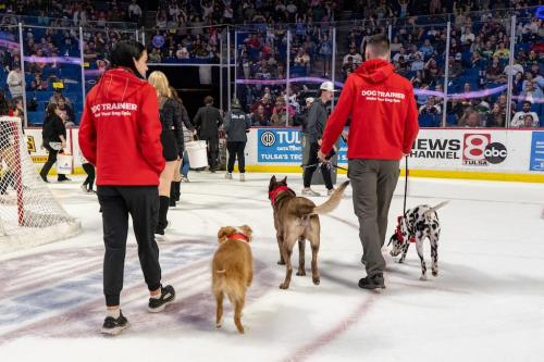 Tulsa Dog Training 328