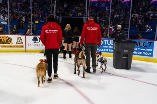 Tulsa Dog Training 329