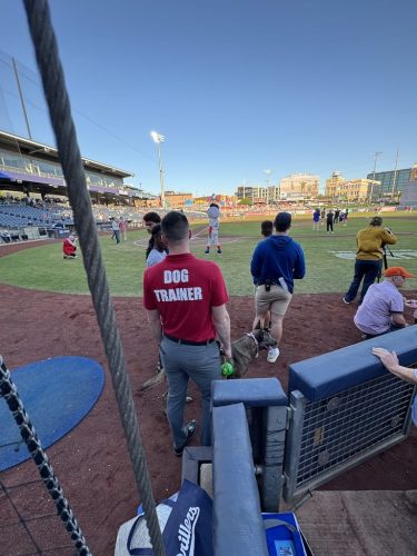 Tulsa Dog Training 336