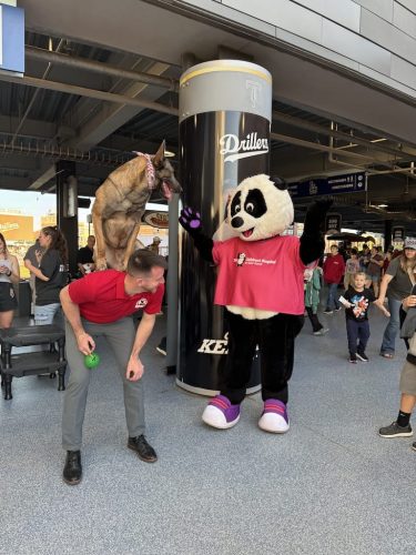 Tulsa Dog Training 337