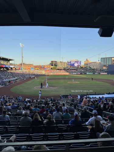 Tulsa Dog Training 339