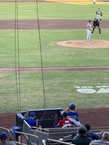 Tulsa Dog Training 341