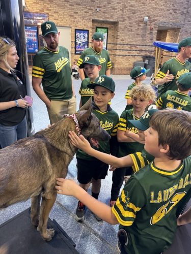Tulsa Dog Training 342