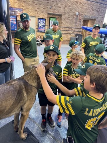 Tulsa Dog Training 343