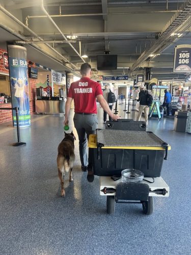 Tulsa Dog Training 352