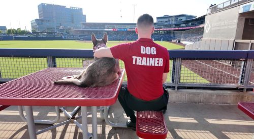Best Edmond Dog Trainers