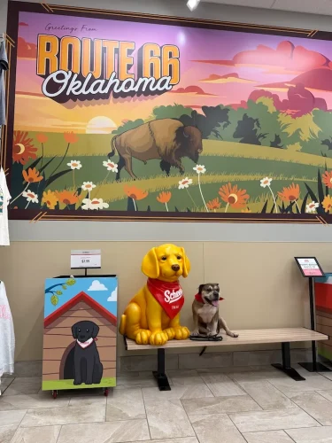 Dog-Trainer-Tulsa-845