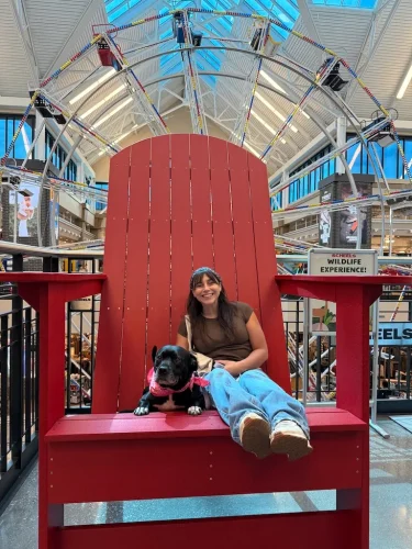 Dog-Trainer-Tulsa-860