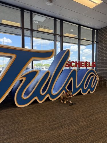 Dog-Training-Tulsa-101