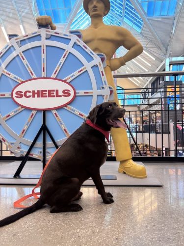 Dog-Training-Tulsa-156