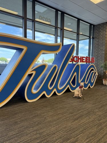 Dog-Training-Tulsa-214