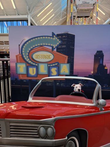 Dog-Training-Tulsa-219