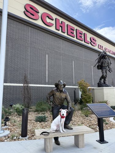 Dog-Training-Tulsa-225