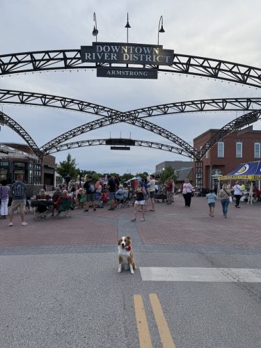 Dog-Training-Tulsa-481