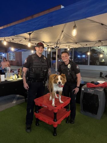 Dog-Training-Tulsa-482