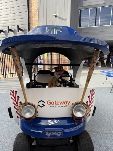 Dog-Training-Tulsa-483