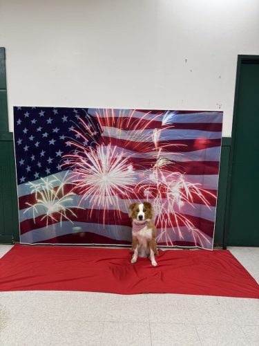 Dog-Training-Tulsa-485