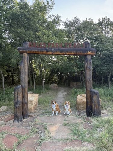 Dog-Training-Tulsa-556