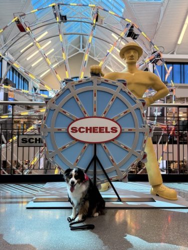 Dog-Training-Tulsa-89